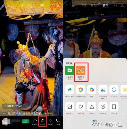 星夜魔法师爆料视频下载,揭秘神秘视频背后的奇幻世界