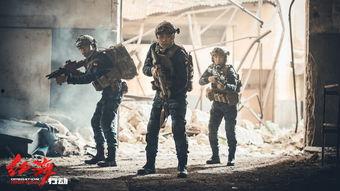爆料突击队采访视频大全,独家采访视频大全深度解析