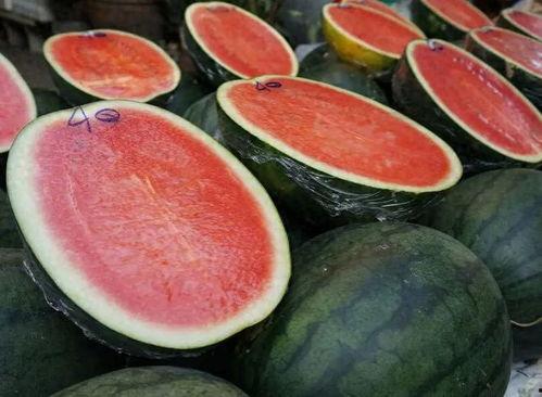 内蒙吃瓜网红是谁呀图片,揭秘草原美食新风尚