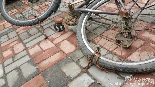 小区自行车爆料案例最新,智慧监控助力破案