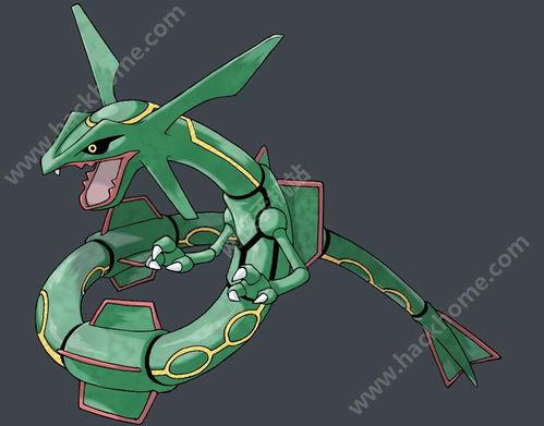 集梦尾巴最新爆料