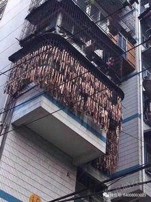 龙口大户人家爆料视频,揭秘豪门背后的惊人真相