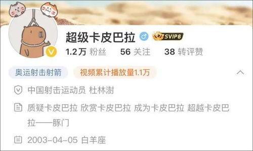 卡哥最新爆料视频下载免费,免费下载背后的秘密与机遇