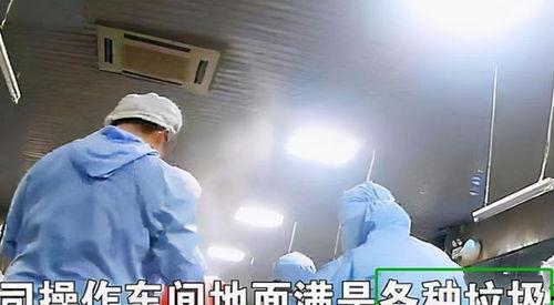 配餐爆料视频大全最新,视频大全带你领略美食新风尚