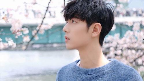 刘亦菲肖战娱乐爆料视频,揭秘明星幕后故事